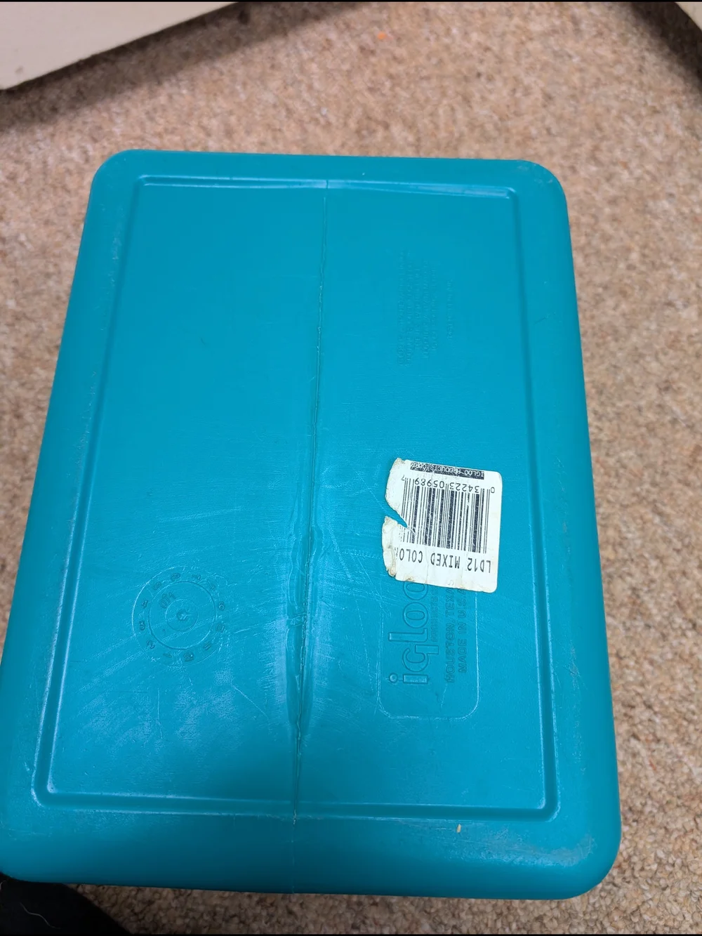 Vintage 90s Igloo Legend 12 Can Cooler With Teal Body & Purple Handle